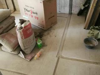 日常巡检