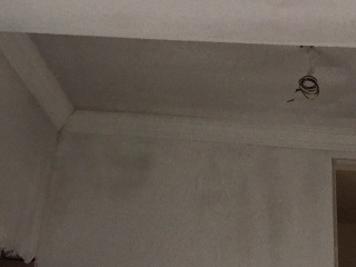 墙、顶面腻子批嵌
