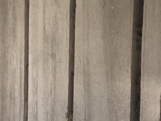 日常巡检