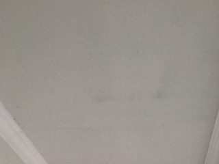 墙、顶面腻子批嵌