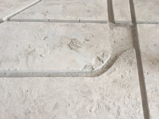 日常巡检
