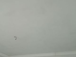 墙、顶面腻子批嵌