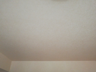 墙、顶面乳胶漆