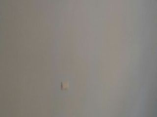 墙、顶面乳胶漆