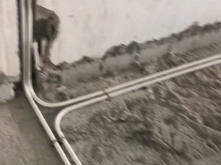 隐蔽工程 验收
