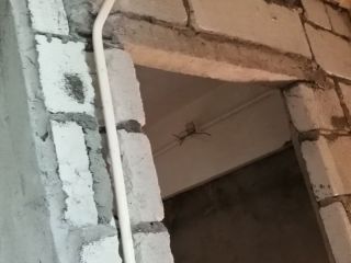 日常巡检