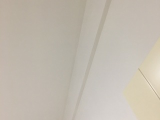 墙、顶面乳胶漆