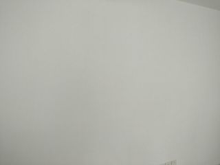 墙、顶面乳胶漆