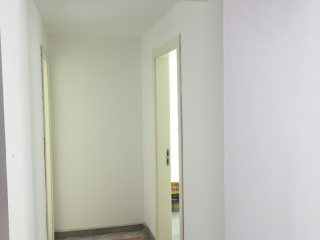 墙、顶面乳胶漆