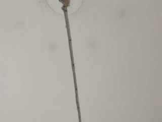 水、电管开槽施作