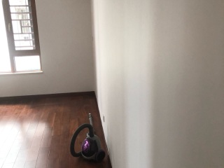 墙、顶面腻子批嵌