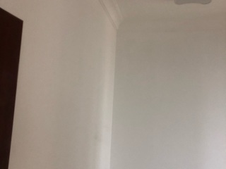 墙、顶面腻子批嵌