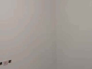 墙、顶面腻子批嵌
