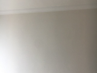 墙、顶面乳胶漆
