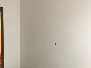 日常巡检