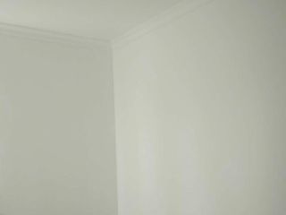 墙、顶面乳胶漆
