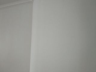 墙、顶面乳胶漆