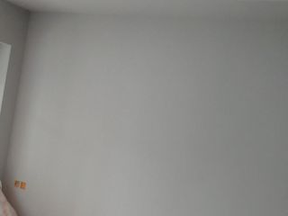 墙、顶面乳胶漆