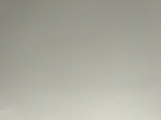 墙、顶面腻子批嵌