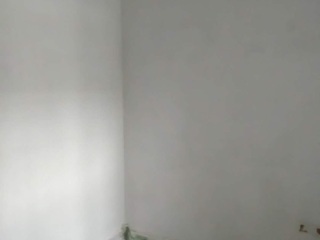 墙、顶面腻子批嵌