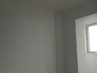 墙、顶面乳胶漆