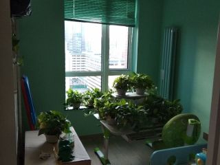 竣工验收