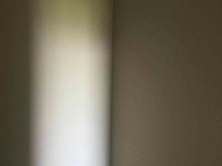 墙、顶面乳胶漆