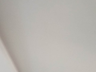 墙、顶面乳胶漆
