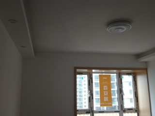 墙、顶面乳胶漆