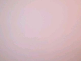墙、顶面腻子批嵌