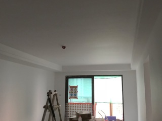 墙、顶面乳胶漆