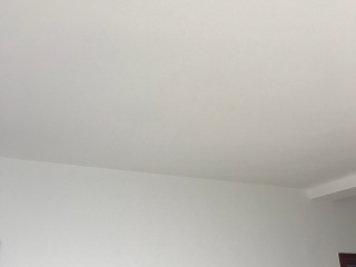 墙、顶面乳胶漆