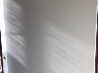 日常巡检