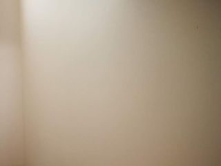 墙、顶面乳胶漆