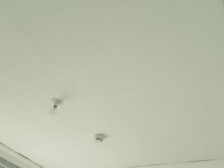 墙、顶面腻子批嵌