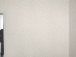 墙、顶面腻子批嵌
