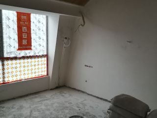 墙、顶面乳胶漆