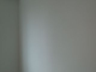 墙、顶面乳胶漆及墙纸铺贴