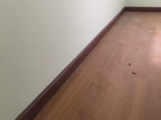 套装门、踢脚线安装