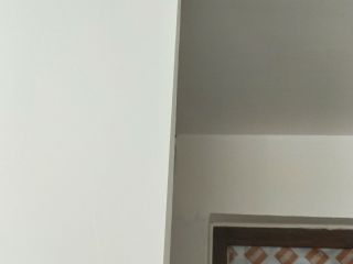 墙、顶面乳胶漆