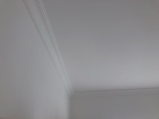 墙、顶面乳胶漆