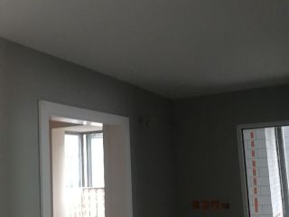 墙、顶面乳胶漆