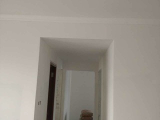 墙、顶面乳胶漆及墙纸铺贴
