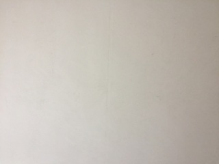 墙、顶面腻子批嵌