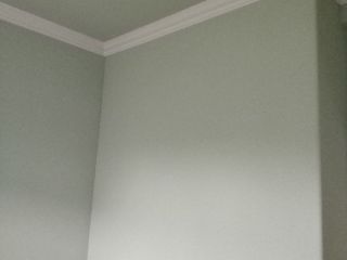 墙、顶面乳胶漆