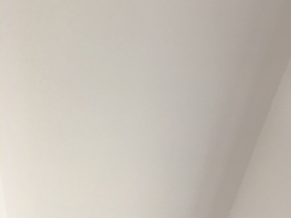 墙、顶面腻子批嵌