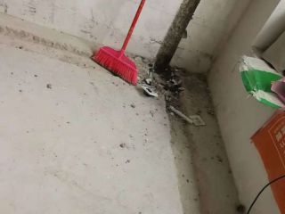 日常巡检