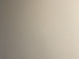 墙、顶面乳胶漆