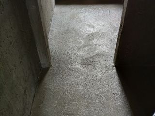 日常巡检