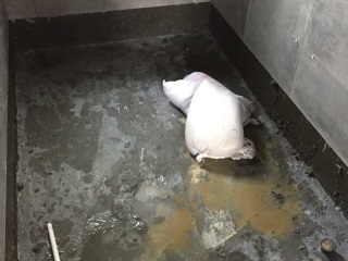 日常巡检